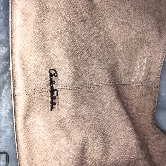Carlos Falchi purse 👜